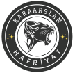 logo-ss